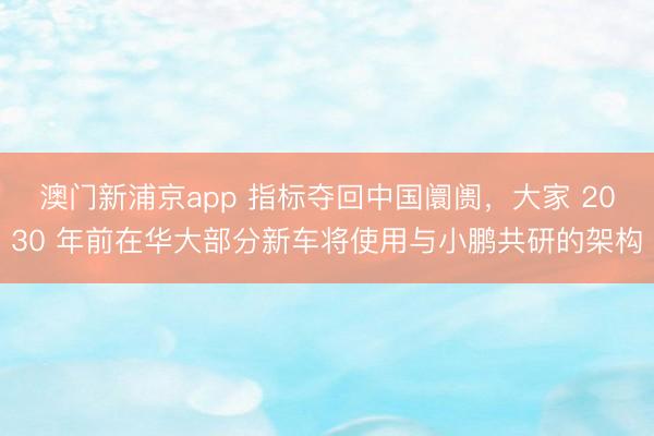 澳门新浦京app 指标夺回中国阛阓，大家 2030 年前在华大部分新车将使用与小鹏共研的架构