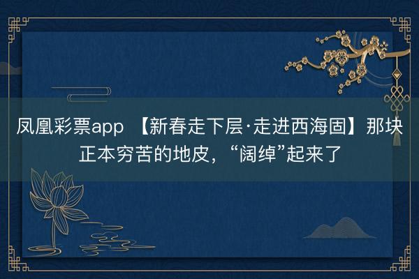 凤凰彩票app 【新春走下层·走进西海固】那块正本穷苦的地皮,“阔绰”起来了