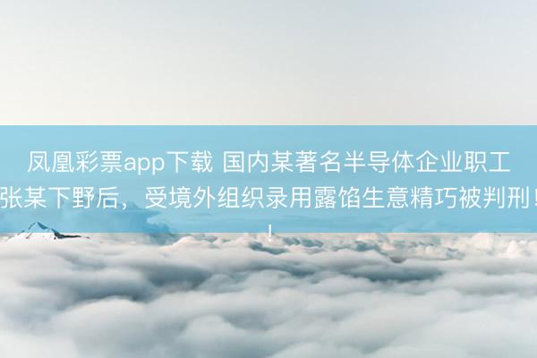 凤凰彩票app下载 国内某著名半导体企业职工张某下野后，受境外组织录用露馅生意精巧被判刑！