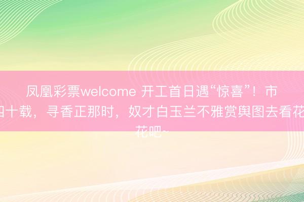凤凰彩票welcome 开工首日遇“惊喜”！市花四十载，寻香正那时，奴才白玉兰不雅赏舆图去看花吧~