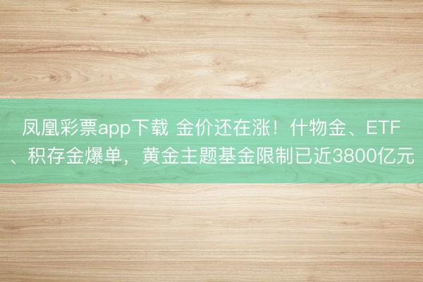 凤凰彩票app下载 金价还在涨!什物金、ETF、积存金爆单,黄金主题基金限制已近3800亿元