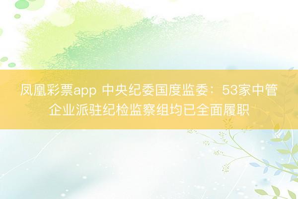 凤凰彩票app 中央纪委国度监委：53家中管企业派驻纪检监察组均已全面履职