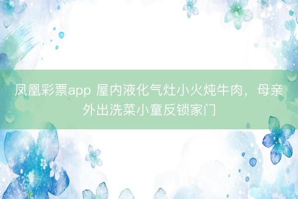 凤凰彩票app 屋内液化气灶小火炖牛肉，母亲外出洗菜小童反锁家门