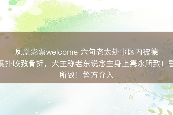 凤凰彩票welcome 六旬老太处事区内被德牧犬两度扑咬致骨折，犬主称老东说念主身上隽永所致！警方介入