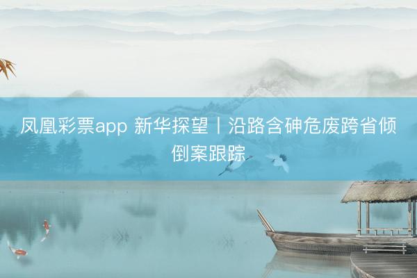凤凰彩票app 新华探望丨沿路含砷危废跨省倾倒案跟踪