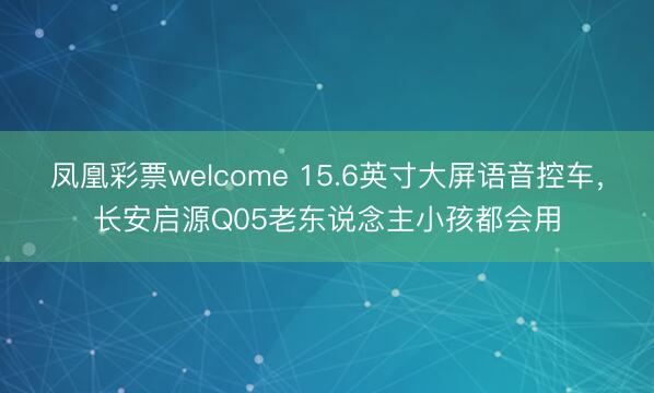 凤凰彩票welcome 15.6英寸大屏语音控车，长安启源Q05老东说念主小孩都会用